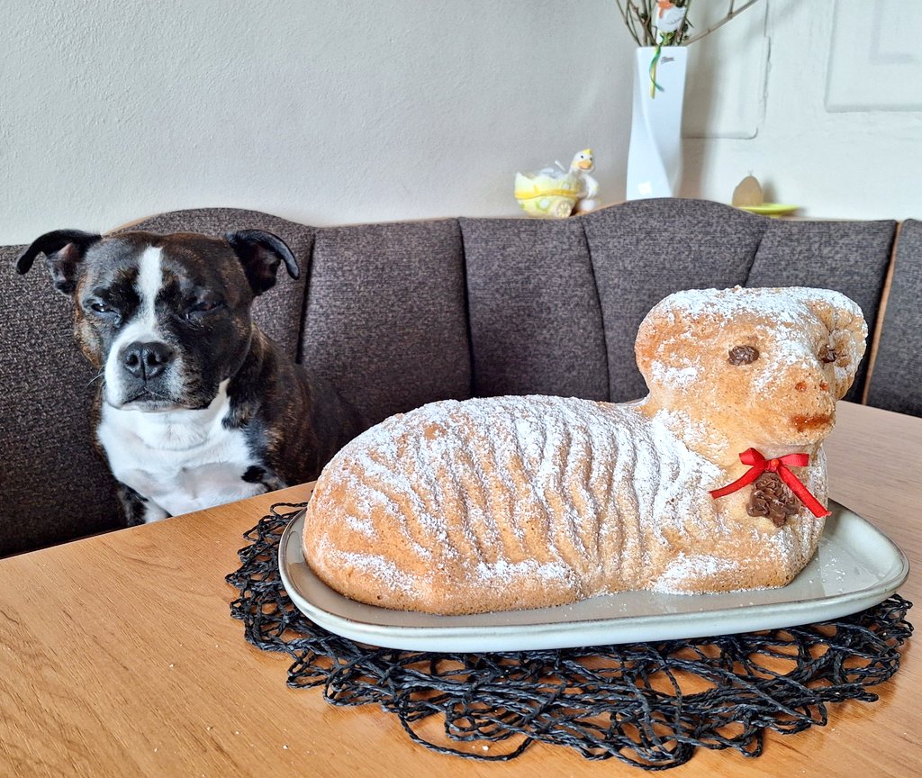 Nechtěli se moc fotit, ale co už. 😃

Hezké Velikonoce. 🤗🥰