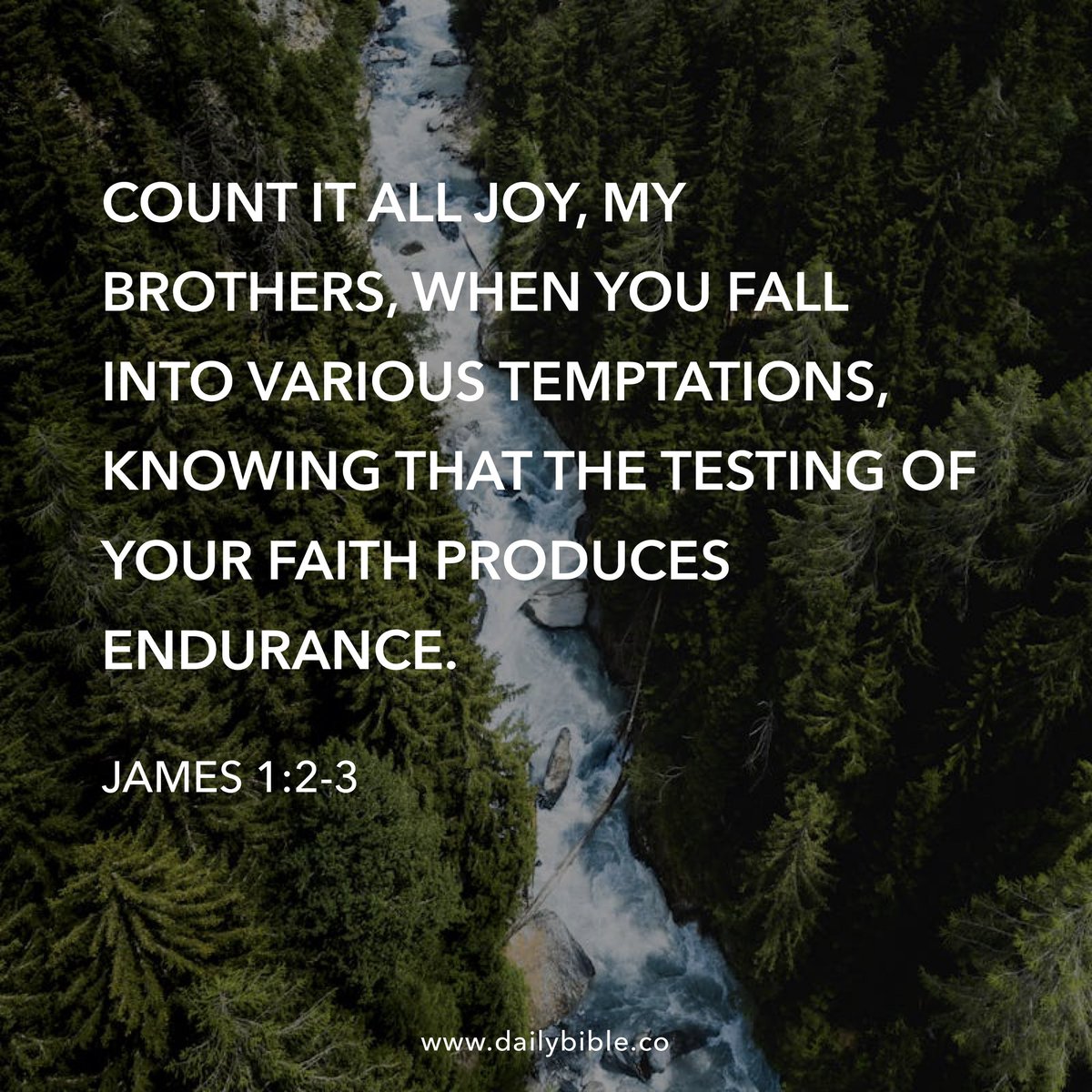 AliBradleyTV's tweet photo. #DailyVerse https://t.co/EBee5J2g1X