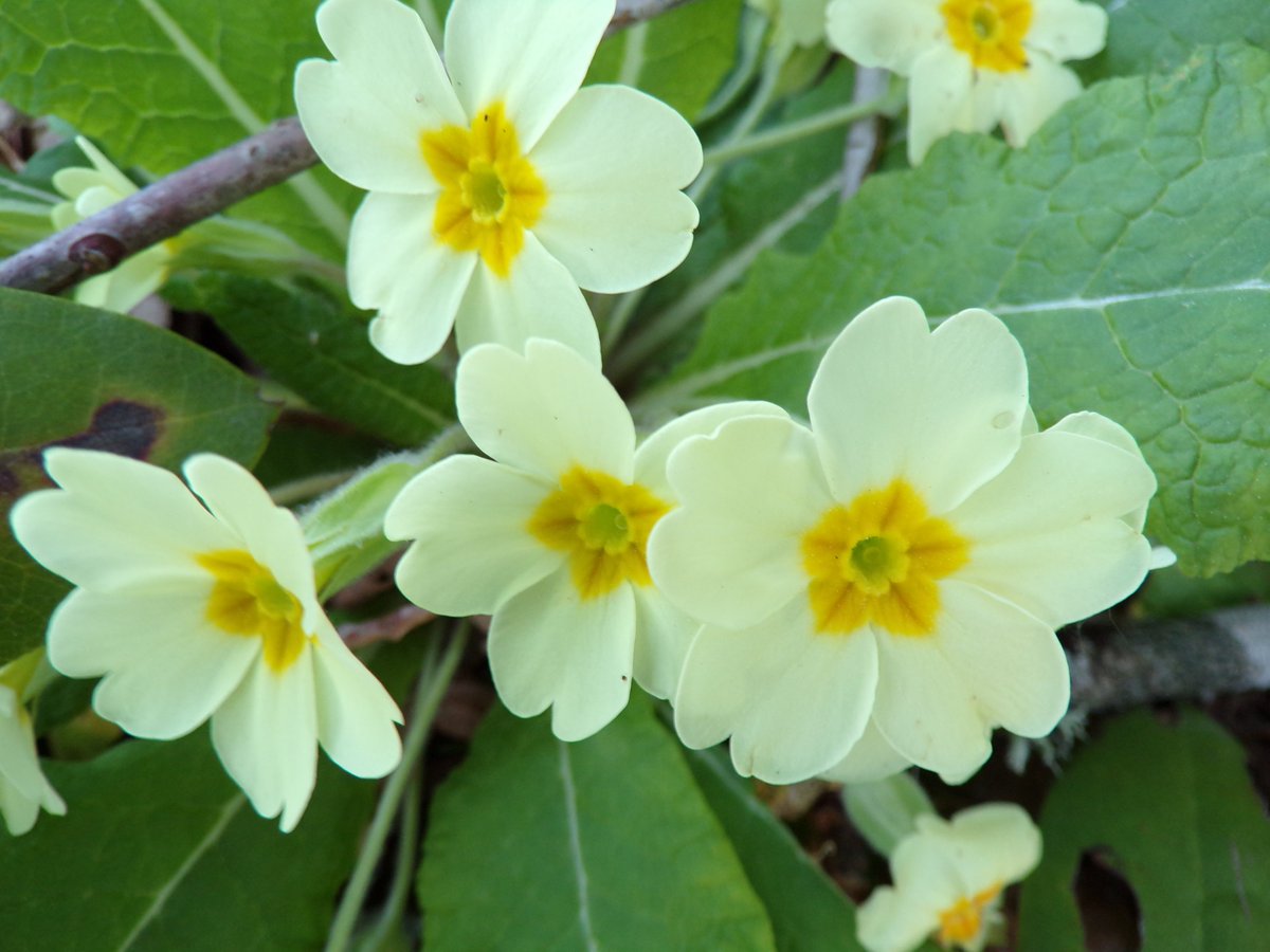 Marie de Jonzac tweet media