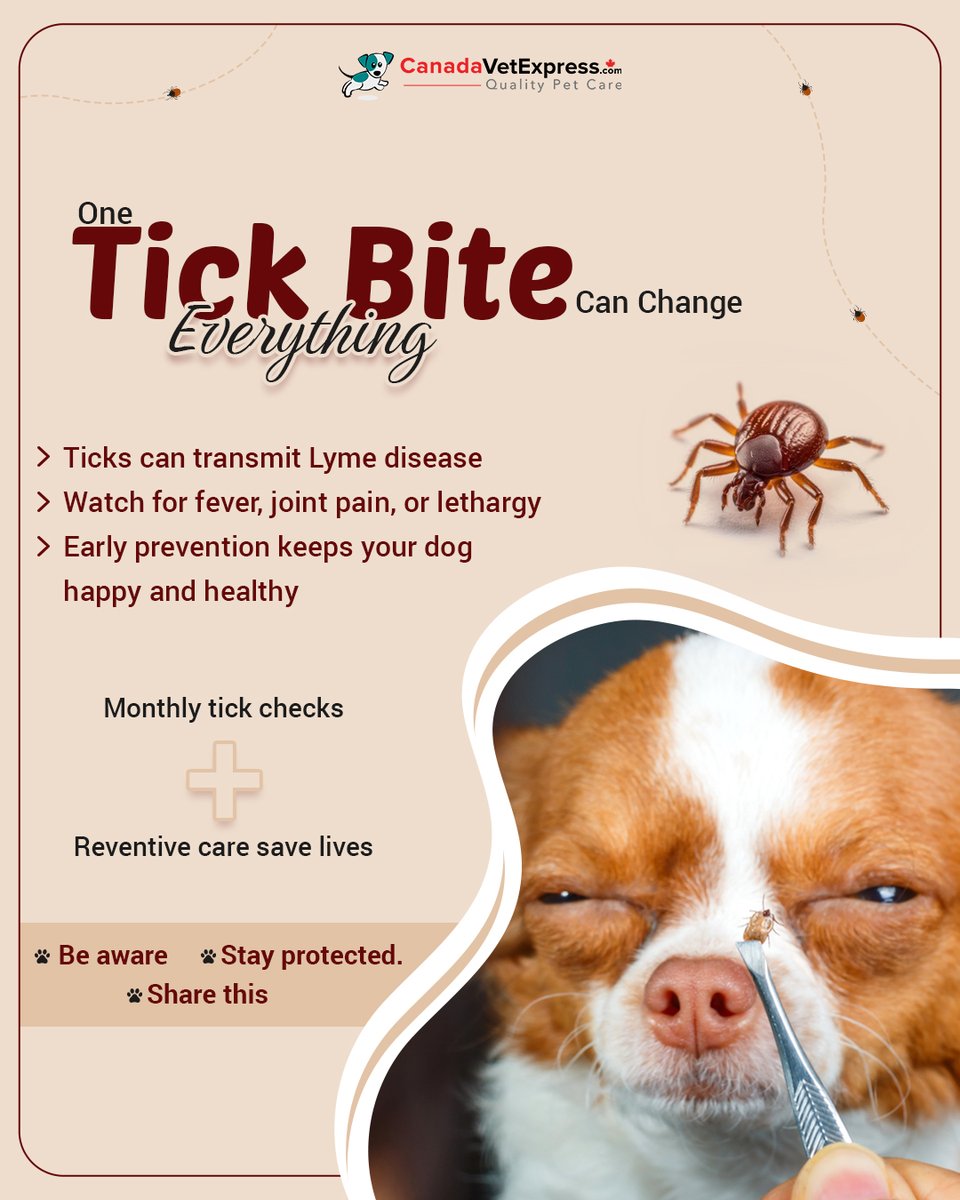 canadavetexpres's tweet image. Did you know one tick bite could put your dog’s health at risk? 🐶

Check the graphic below 👇

❤️Like, 💭comment &amp;amp; share to protect every dog!

Follow @canadavetexpres ✅pet-related facts, fun quotes, and pawsome content!

#lymedisease #lymeawareness #dogcare #dogparents
