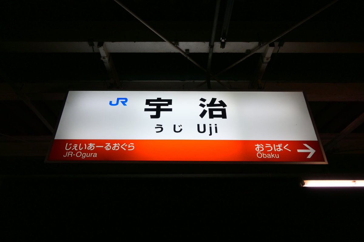コイ太郎 tweet media