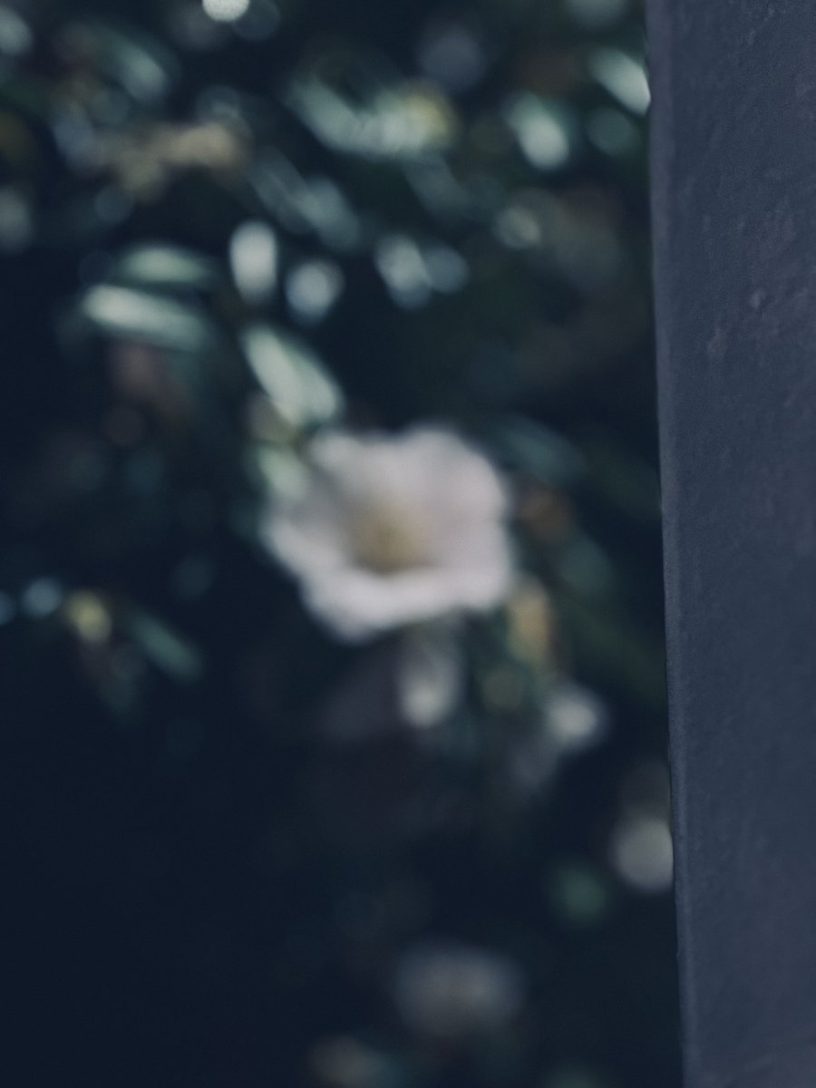 ハルナガ tweet media