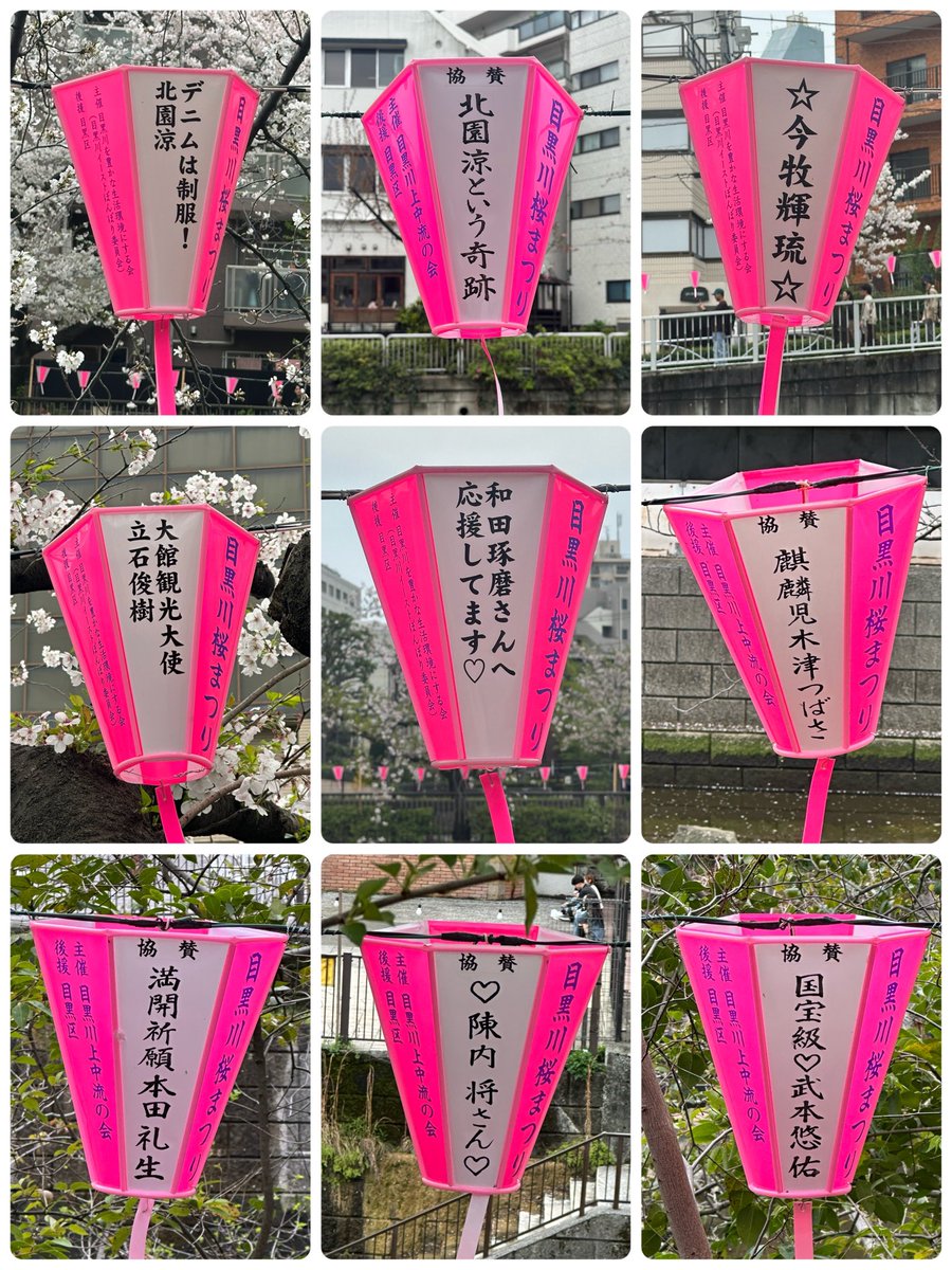 まきのぽーたる tweet media