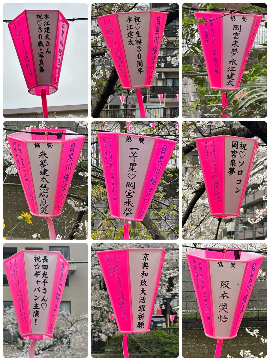 まきのぽーたる tweet media