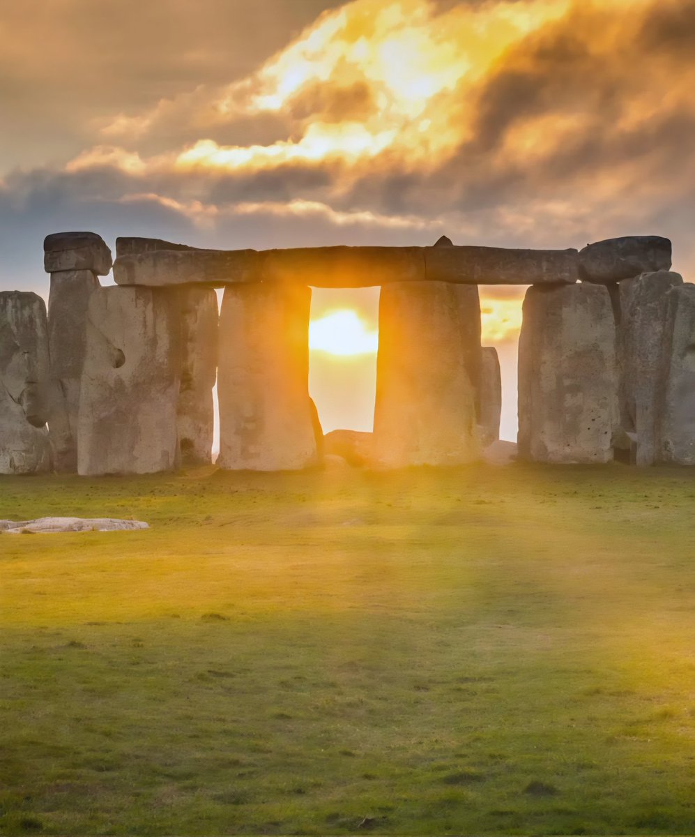 Британец в шортах tweet media