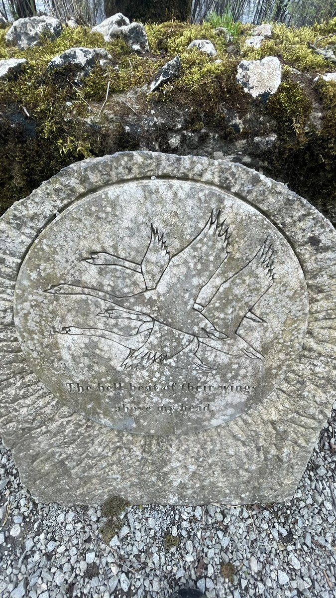 Ceremoniesbycolm.ie tweet media