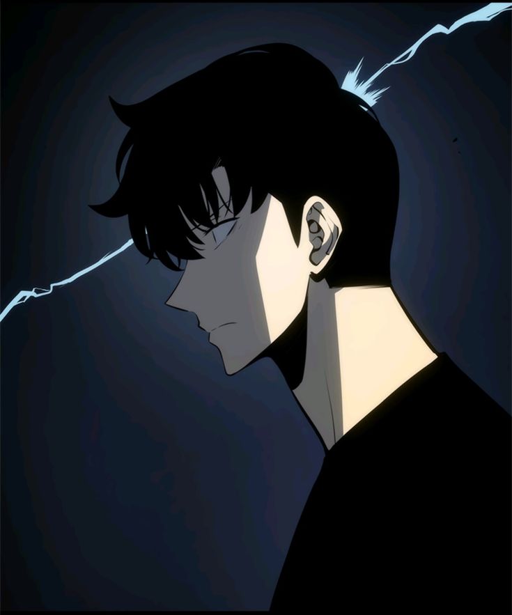 Sung jin woo💍 tweet media