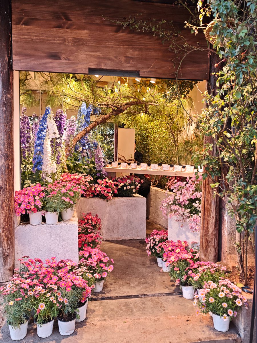 土豆泥尼 tweet media