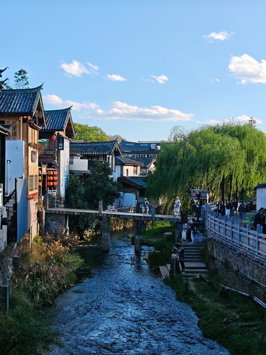 土豆泥尼 tweet media