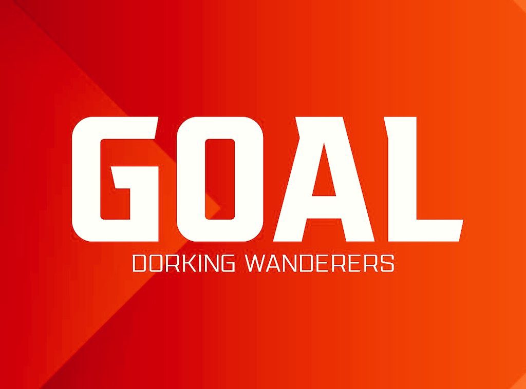 Dorking Wanderers Academy tweet media