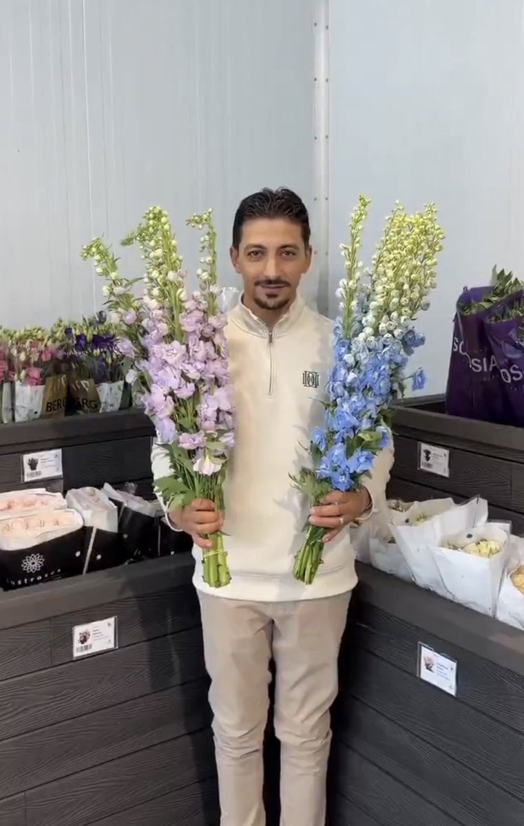 عايش tweet media