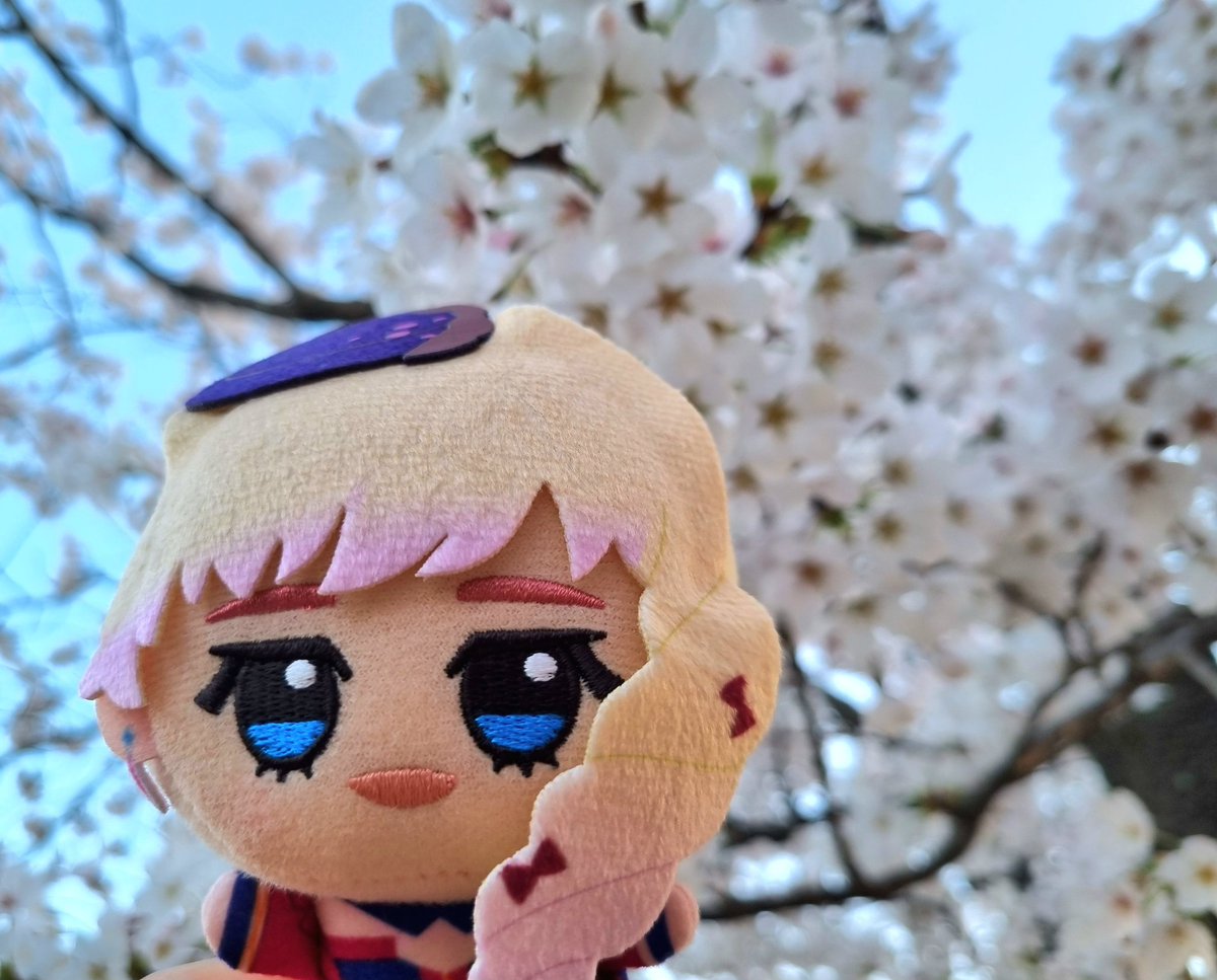 Mama_macross's tweet photo. 🩷🌸벚꽃의 요정🌸🩷 https://t.co/2pHODeBCtr