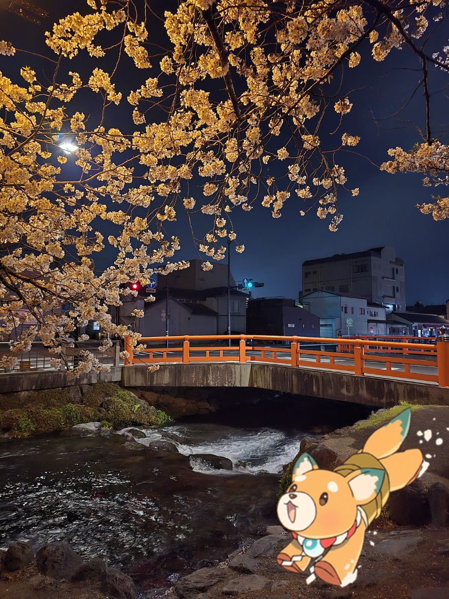 きなこ🐹💎 tweet media