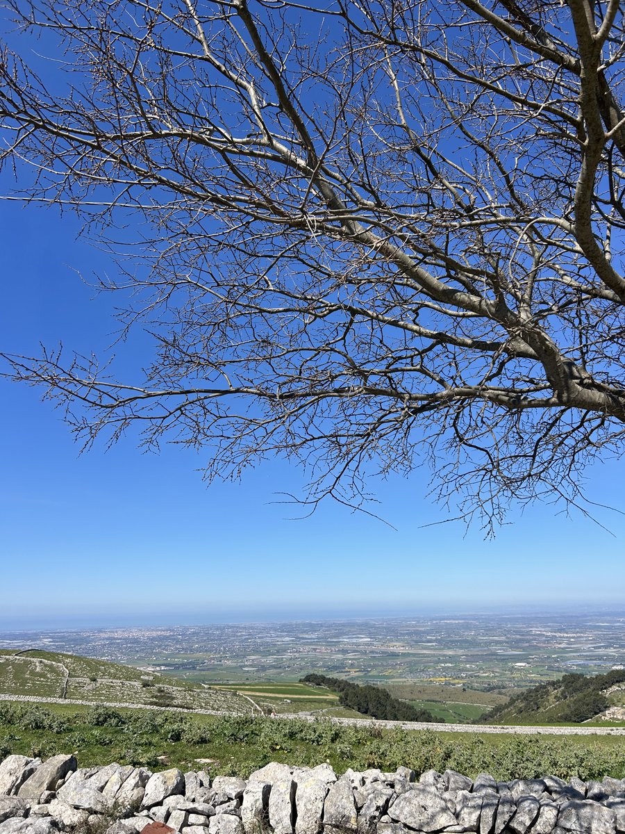 Giusi  tweet media