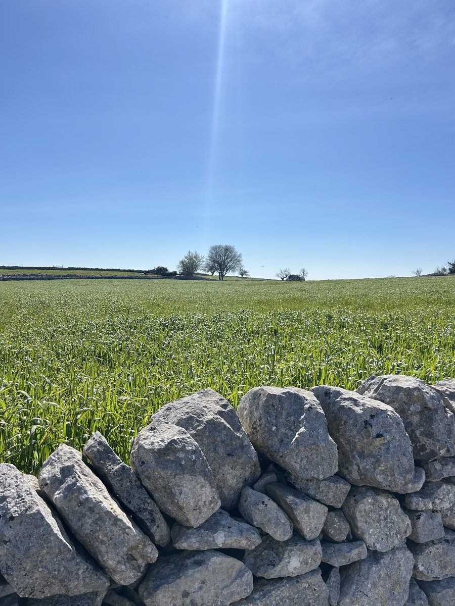 Giusi  tweet media