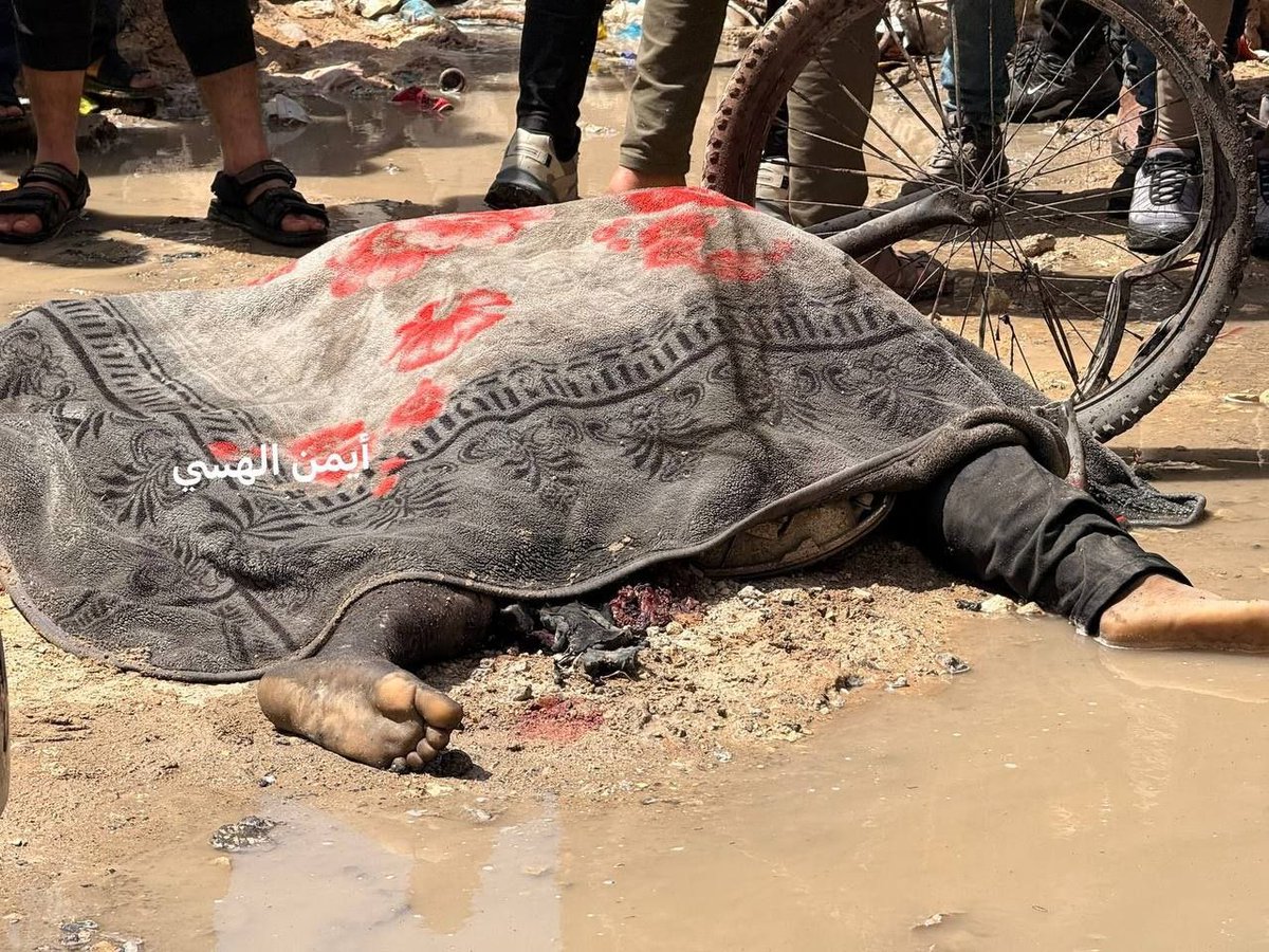 Osama Abu Rabee أسامة أبوربيع tweet media