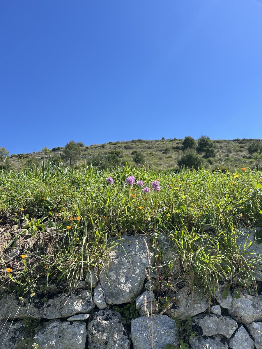 Giusi  tweet media