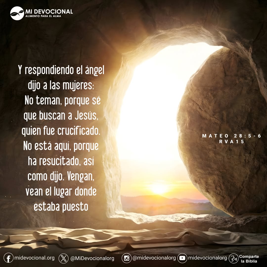 MiDevocionalOrg's tweet photo. Y respondiendo el ángel dijo a las mujeres: No teman, porque sé que buscan a Jesús, quien fue crucificado. No está aquí, porque ha resucitado, así como dijo. Vengan, vean el lugar donde estaba puesto https://t.co/P8mJFCn9UW