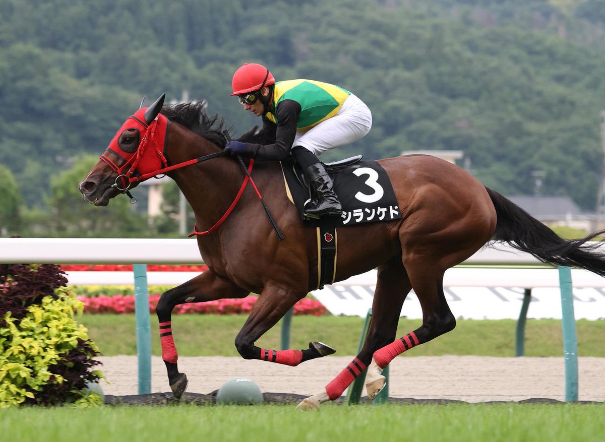 性帝𝕏IDE tweet media