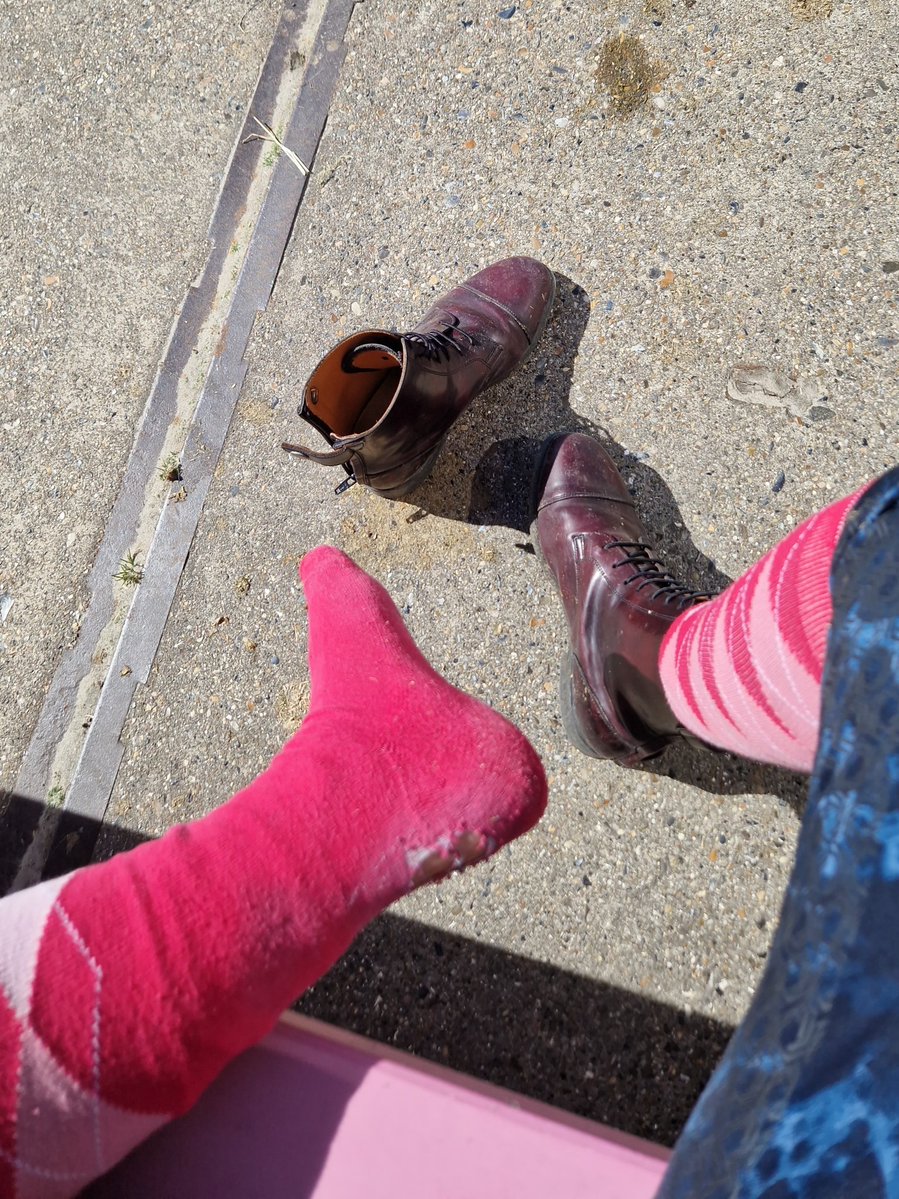 👸sunsparkle🌞Fee🎁 tweet media