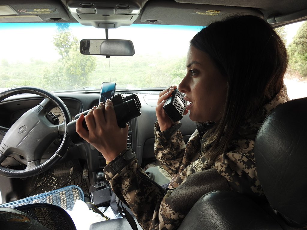 CABS_REPORTS's tweet photo. Heartbreak in northern #Lebanon: Witnesses report a massive illegal shooting where over 300 storks were killed in a single morning. 

Our teams identified decomposing remains on-site and have reported the incident to the police. This is why our monitoring camps are vital. https://t.co/VzJqVyjLTB