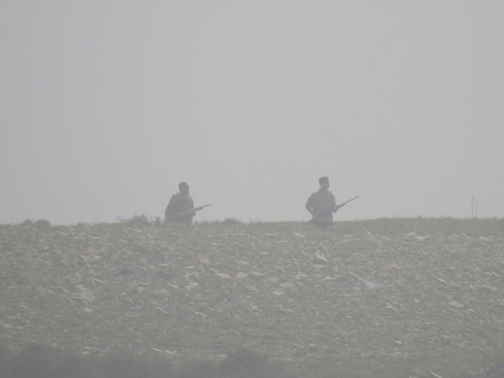 CABS_REPORTS's tweet photo. Heartbreak in northern #Lebanon: Witnesses report a massive illegal shooting where over 300 storks were killed in a single morning. 

Our teams identified decomposing remains on-site and have reported the incident to the police. This is why our monitoring camps are vital. https://t.co/VzJqVyjLTB