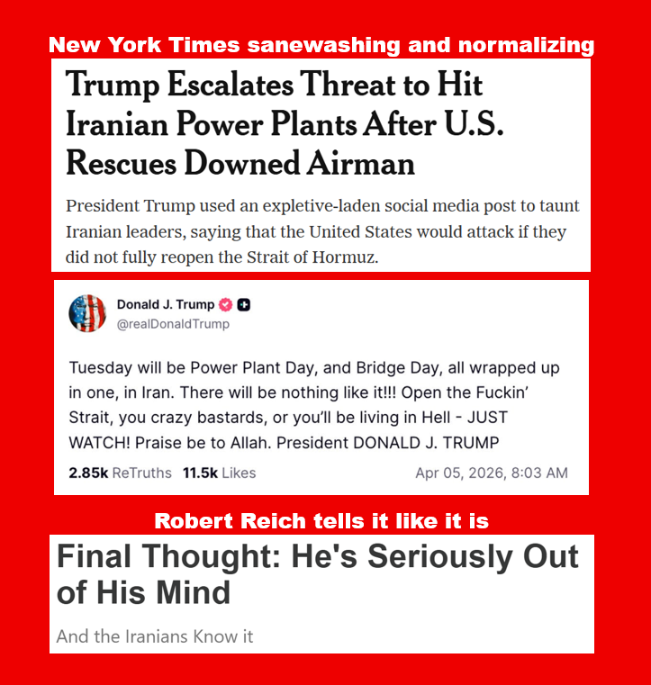 Paul Nelson tweet media