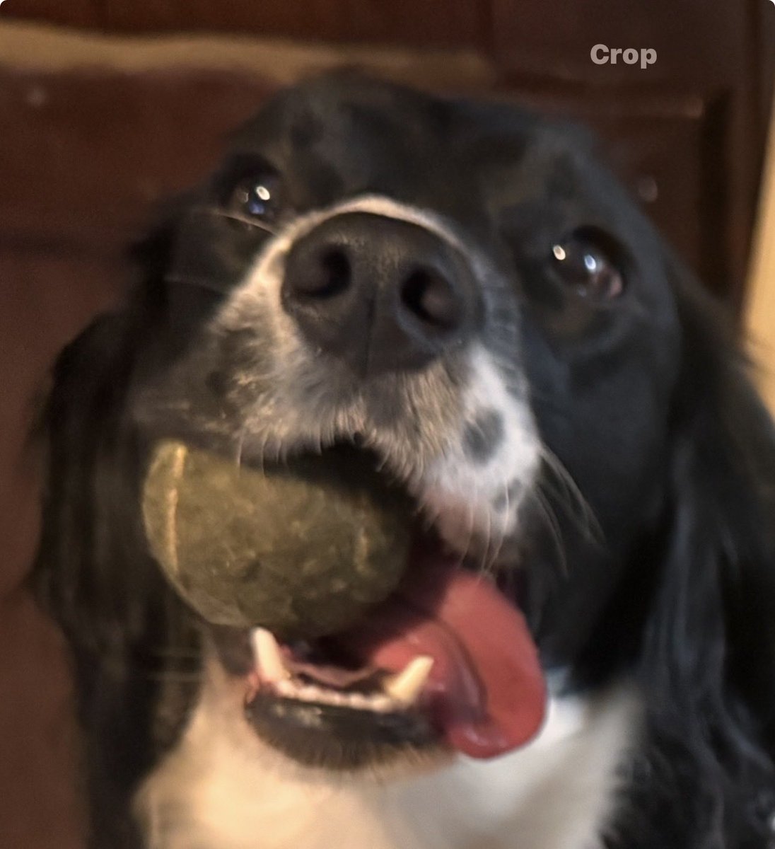 Creag McMillan tweet media