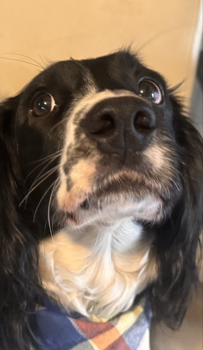 Creag McMillan tweet media