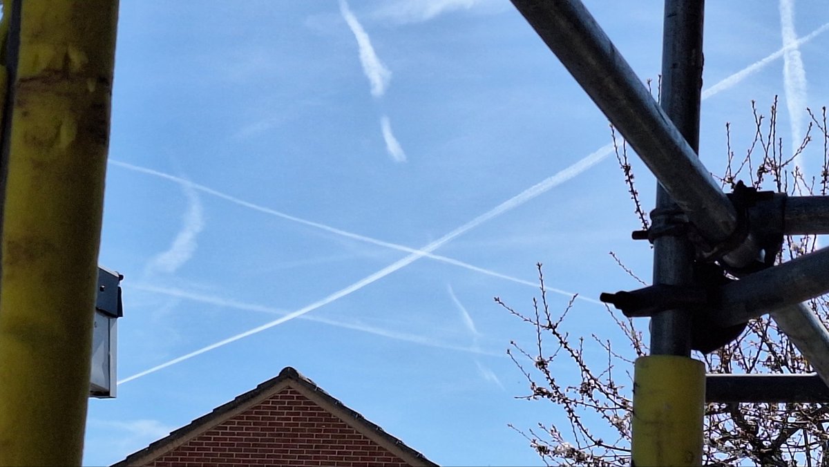 🌹🌹Angie 🏴󠁧󠁢󠁥󠁮󠁧󠁿🏴󠁧󠁢󠁥󠁮󠁧󠁿 tweet media