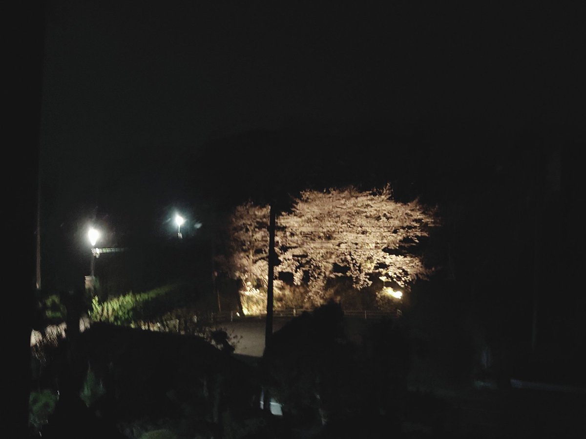 山崎幸治 tweet media