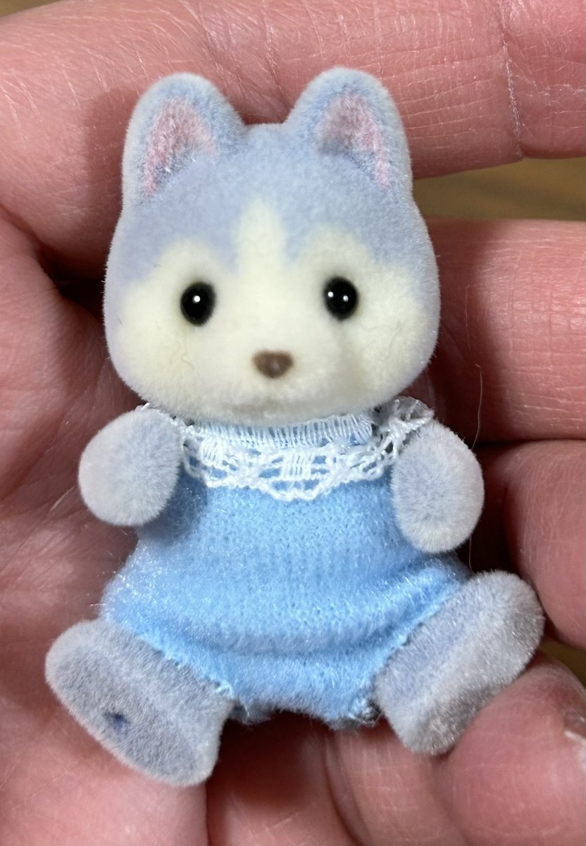 とらみ tweet media