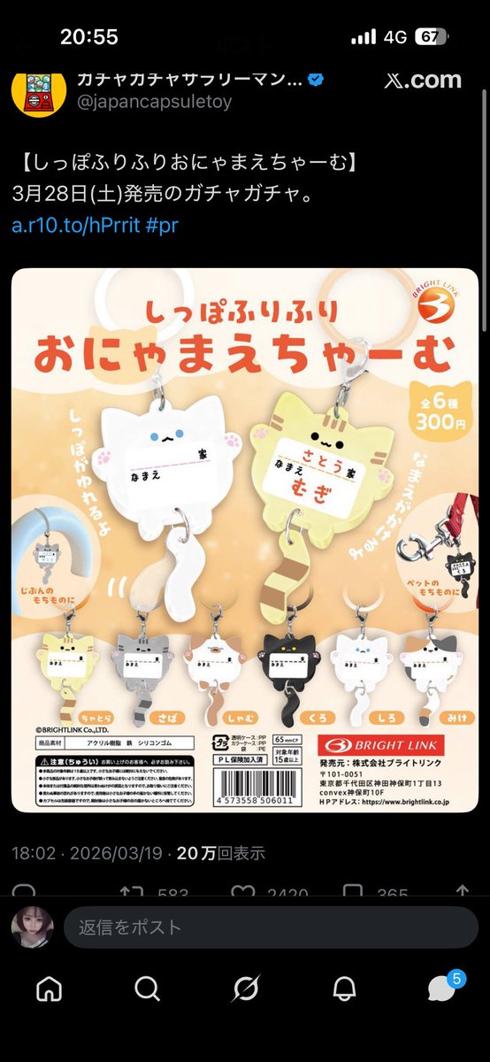 お嬢はいない tweet media