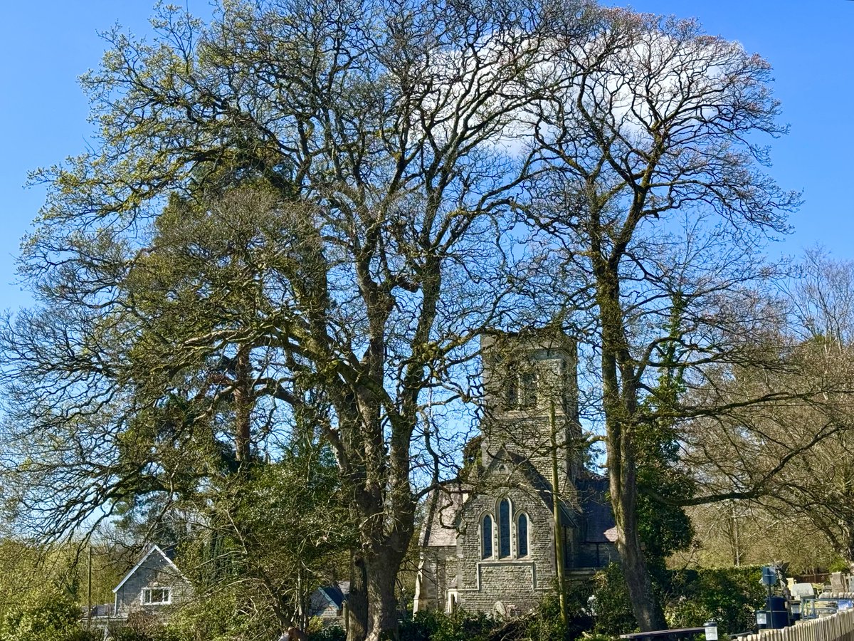 Thurifer tweet media