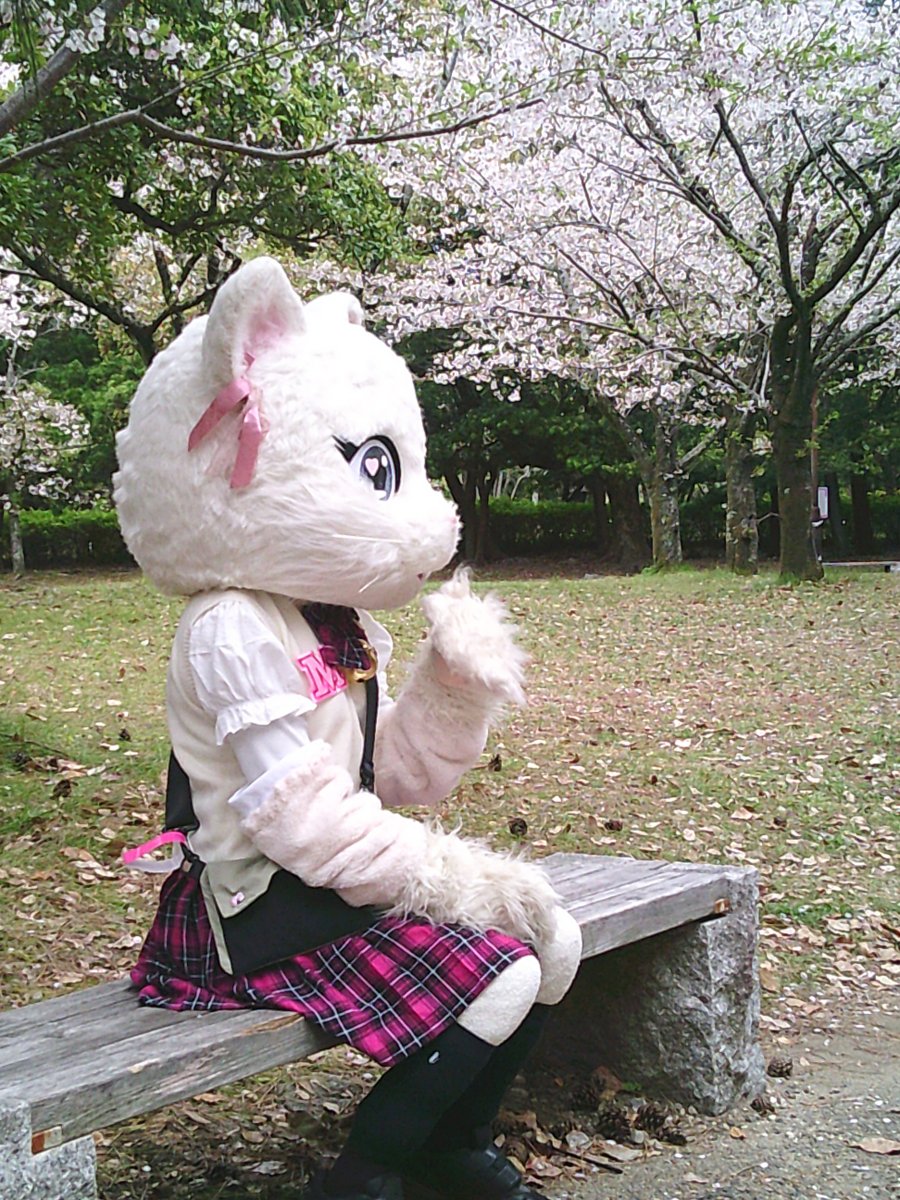 ミスティ日記♡ tweet media