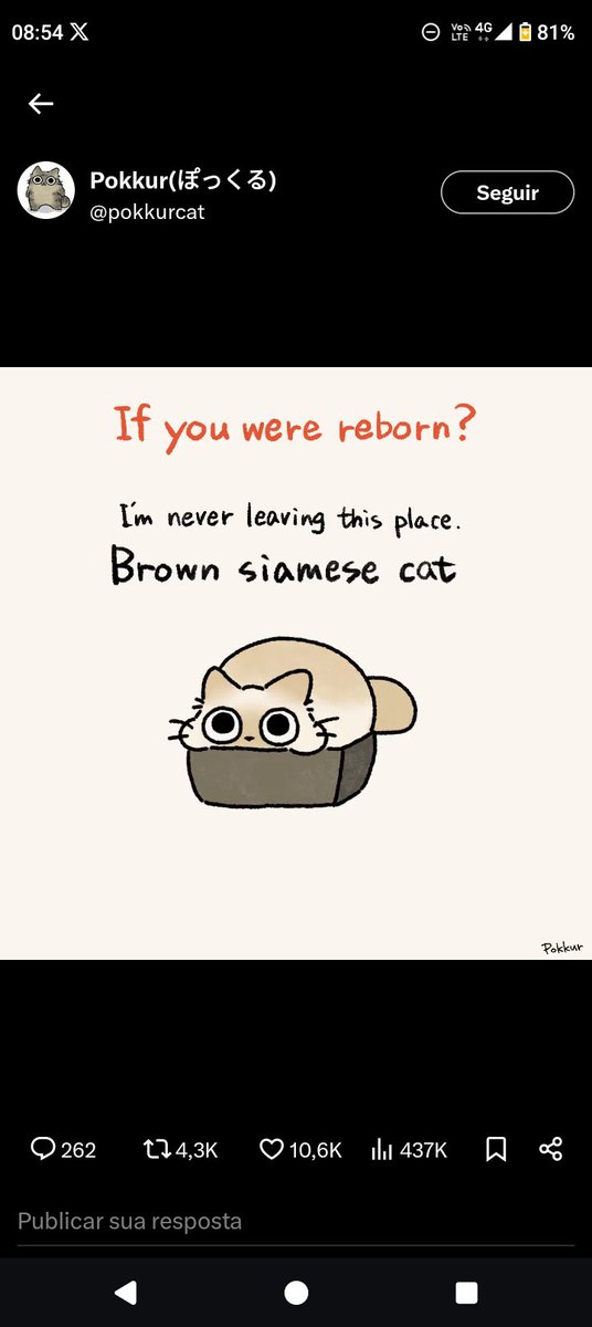 Lord Commander Kensei tweet media