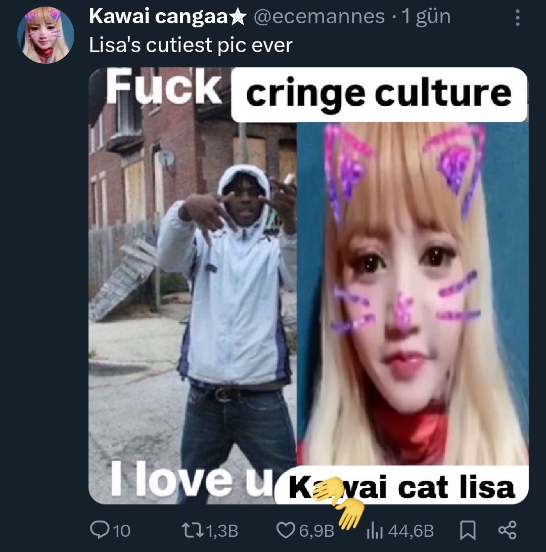 Kawai cangaa✮🇦🇿 tweet media