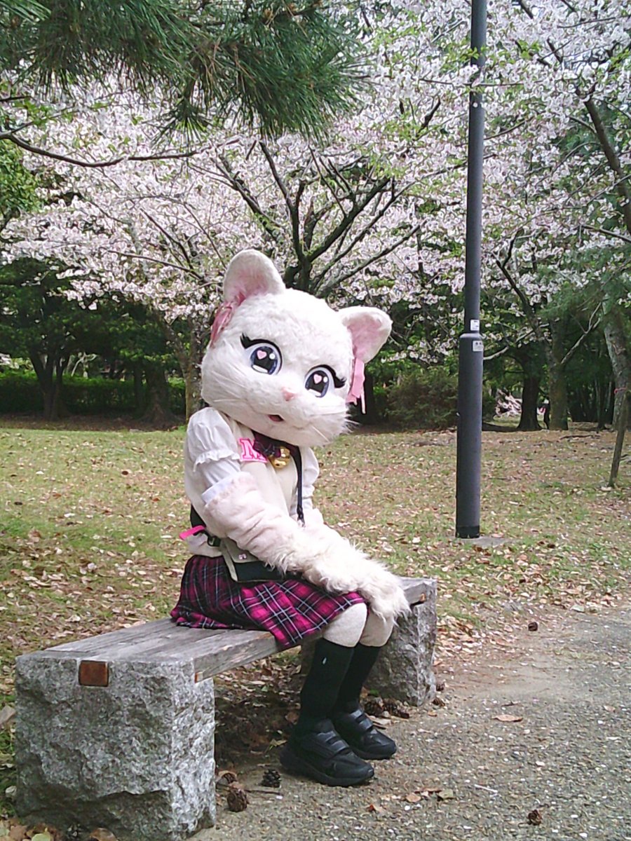 ミスティ日記♡ tweet media