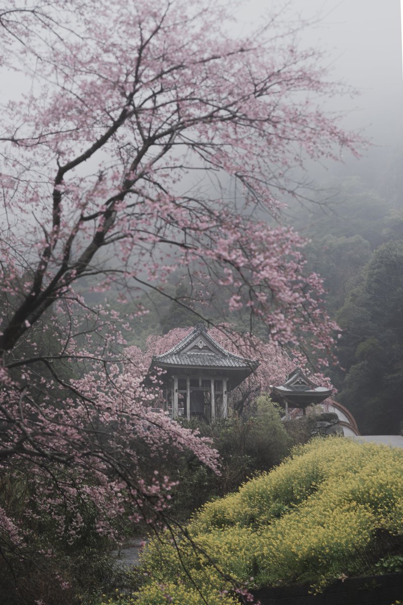 yossi02121's tweet image. 無情
#tokyocameraclub
#sonyalpha
