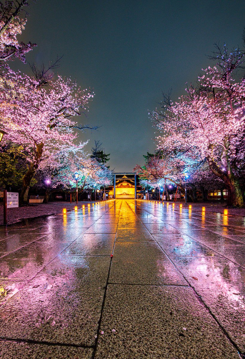 Sweet Nector tweet media