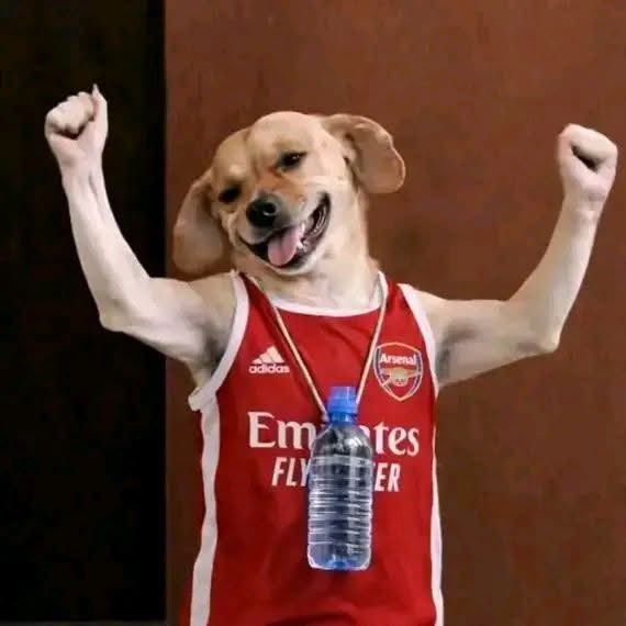 chaxeval tweet media