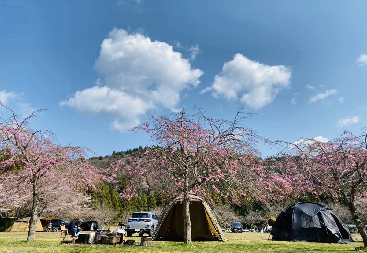 Camp Tiger 寅 tweet media