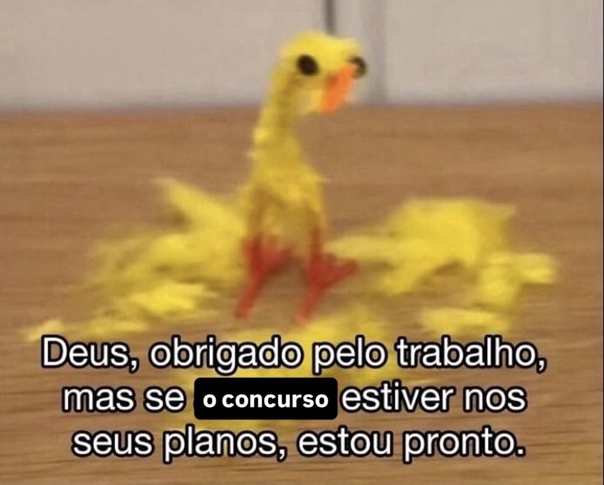 Todo dia uma dica de concurso aqui tweet media