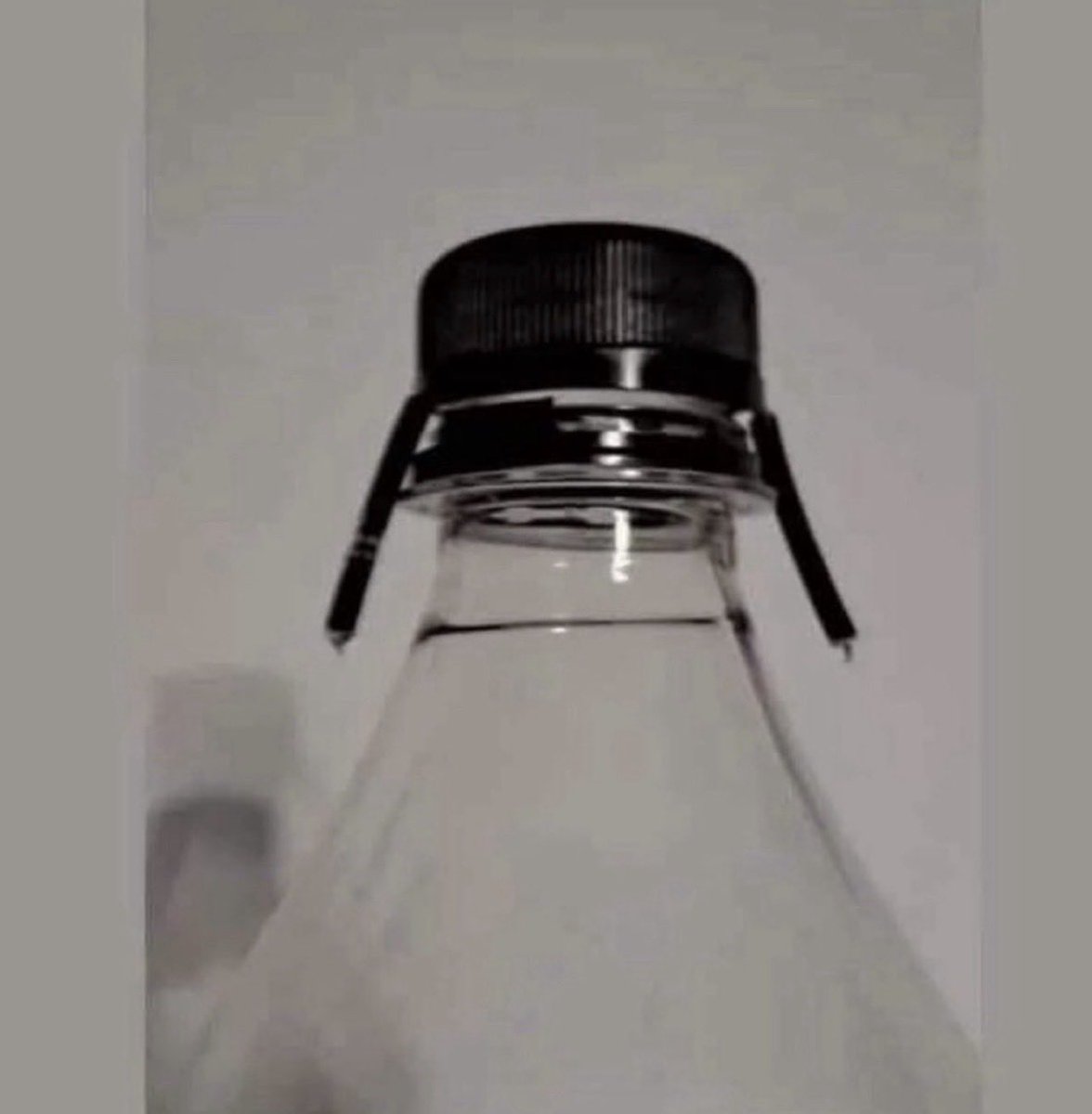 ibtisem 𓂆🕊️ tweet media