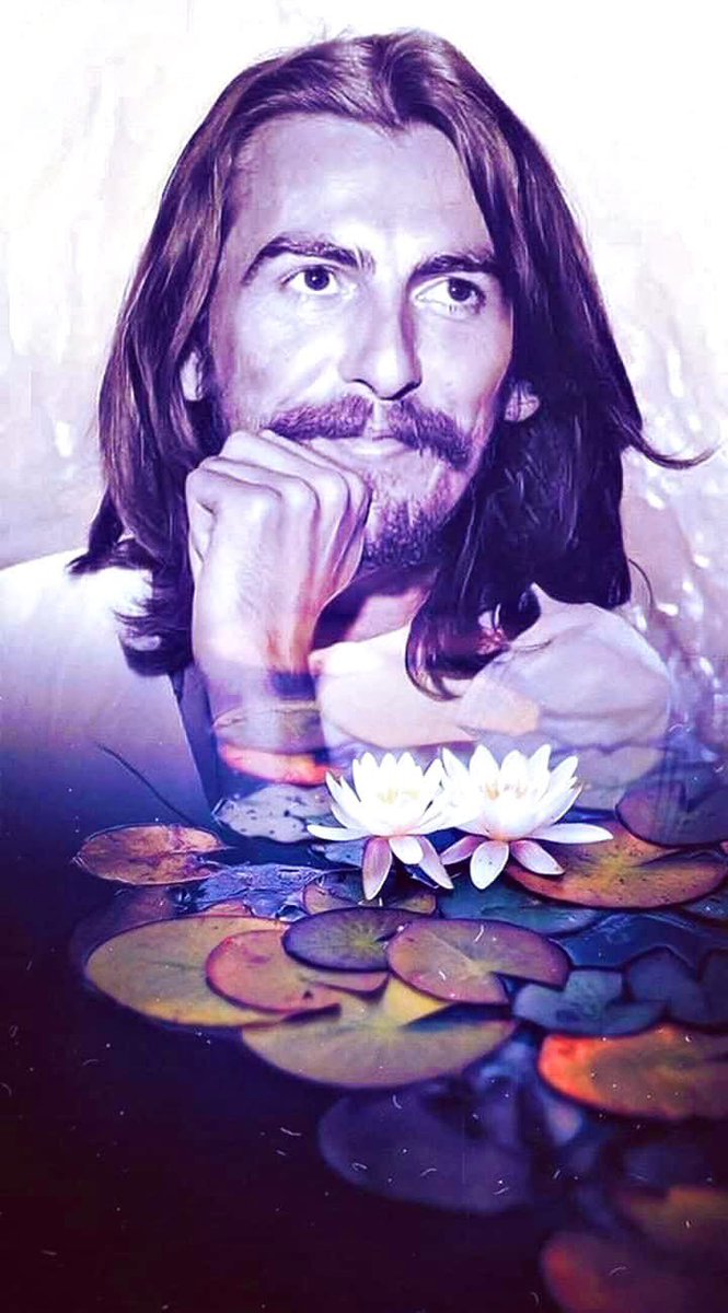 Lief Sorbye tweet media