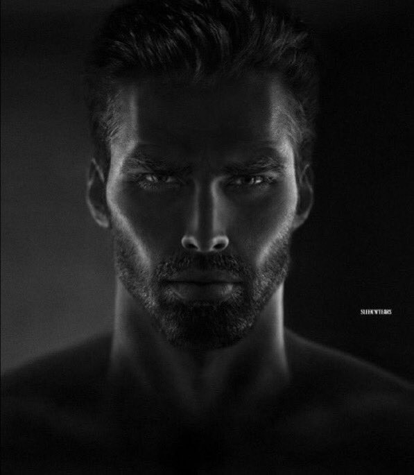 Selective Breeding and the Birth of Anime tweet media