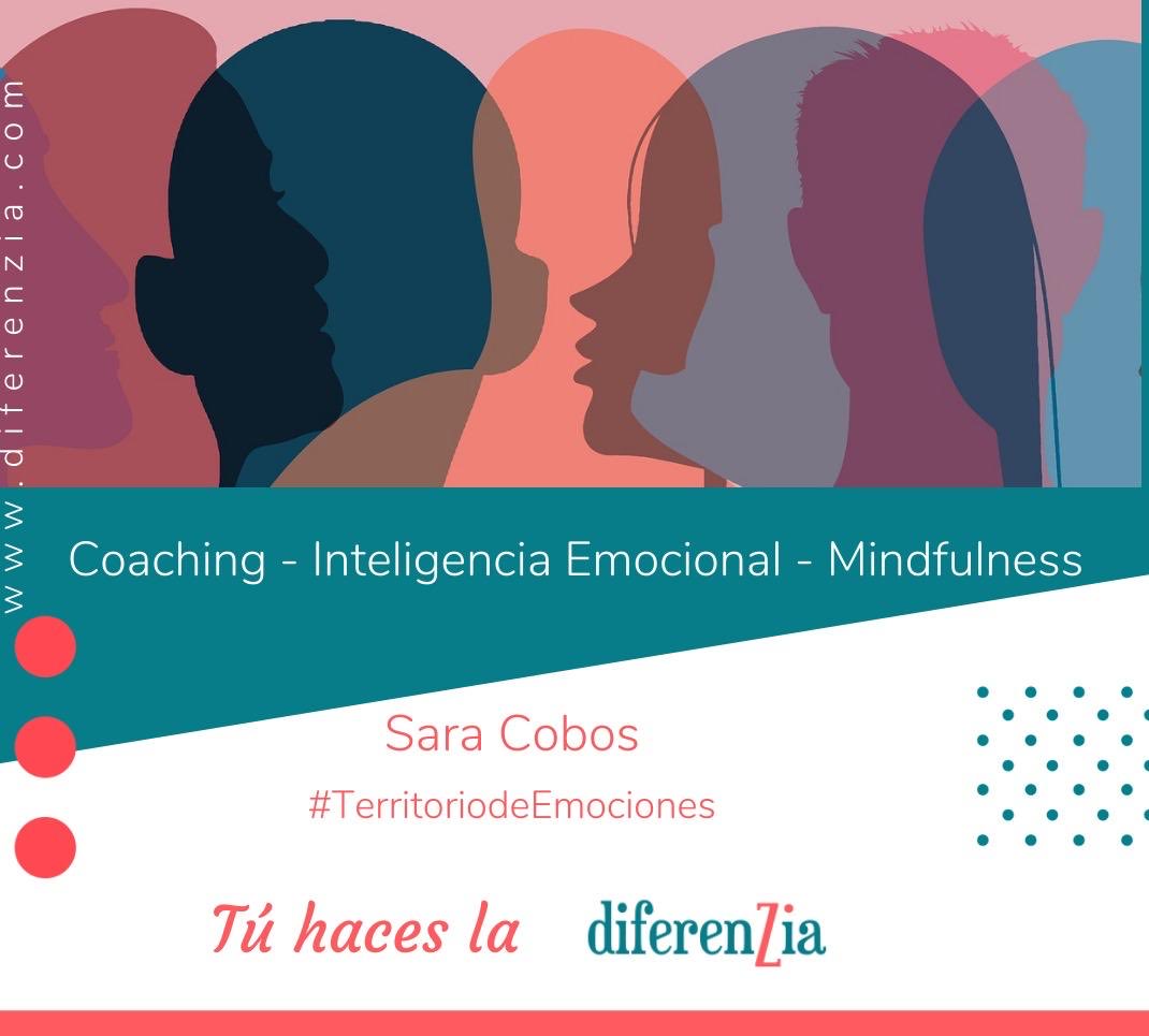 Saracobosb's tweet photo. ✨Hoy celebro no solo una profesión.

Celebro cada historia compartida.
Cada transformación.
Cada instante de verdad.

Celebro mis propias grietas…
desde ahí acompaño.

Gracias a quienes confiáis, estáis, y quienes sois parte.

Feliz Día 💝
Sara Cobos Bravo https://t.co/wTFzNk1p49