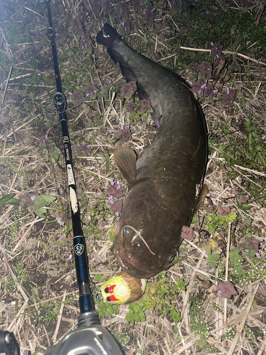 タカノリ tweet media