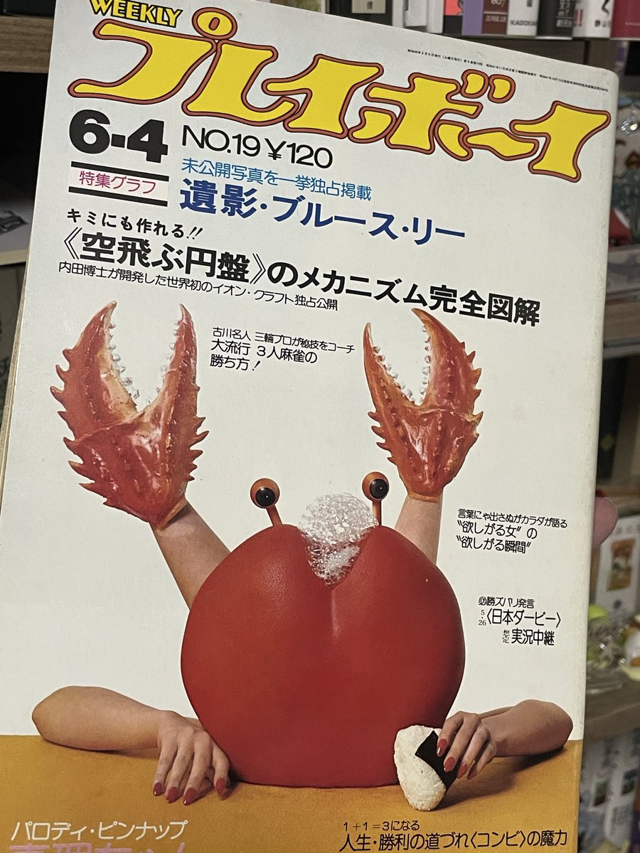 猫屋敷 tweet media