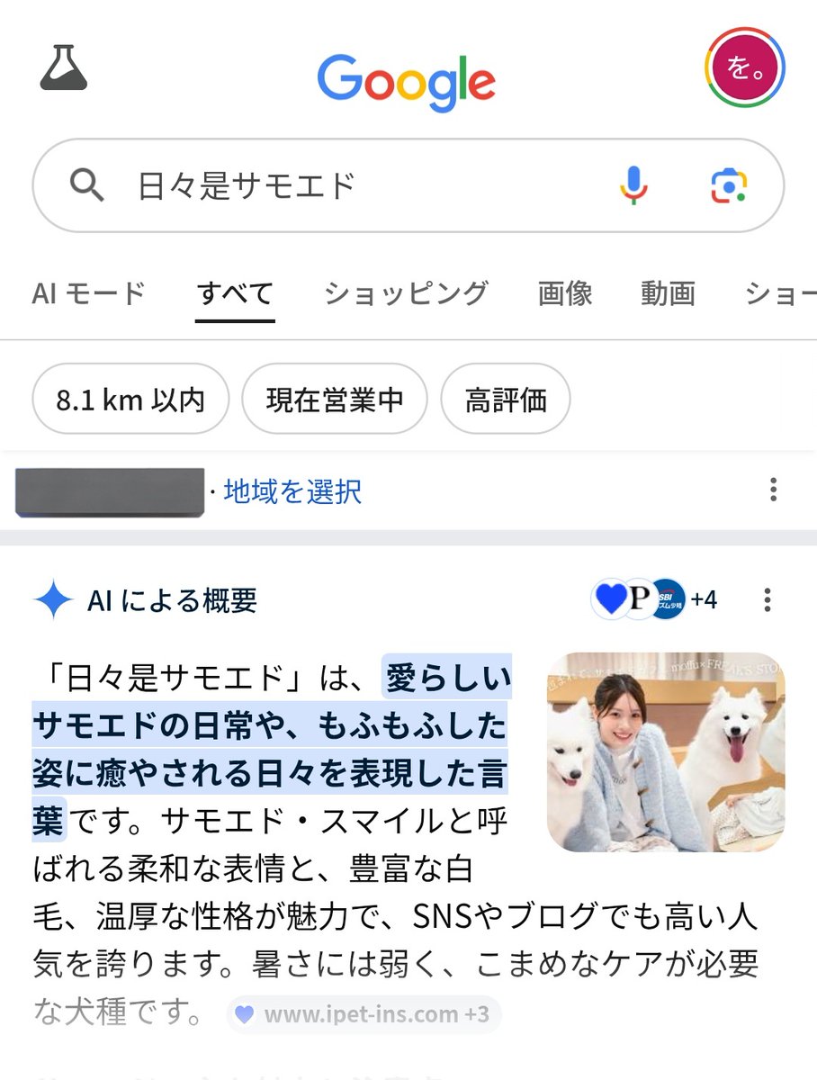 いぬを。 tweet media